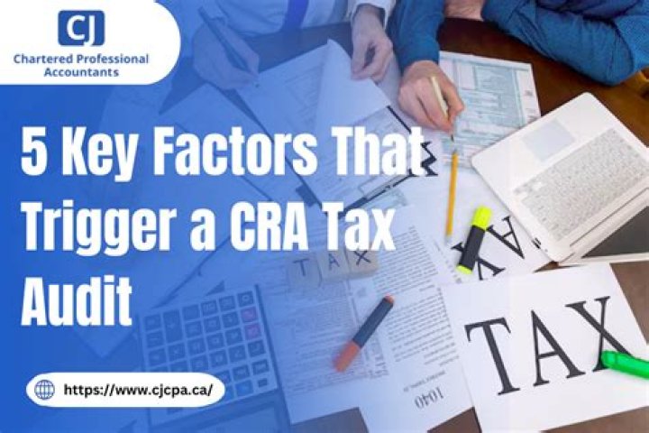 Does CRA audit charities?