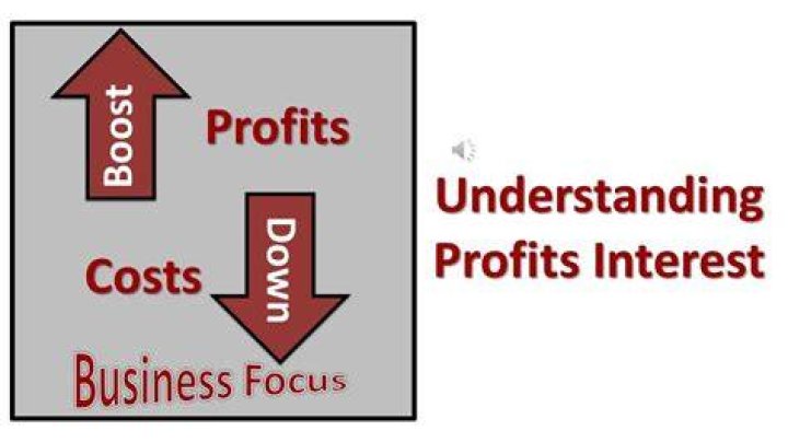 How do profits interests units work?
