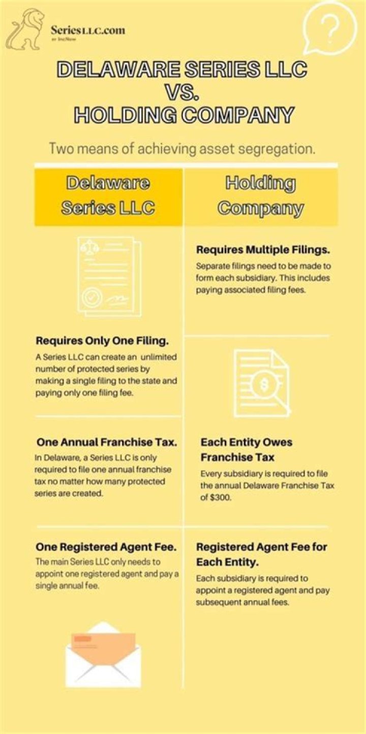 How does a Delaware LLC work?