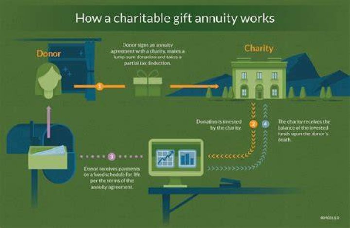 How much does a charitable gift annuity pay?