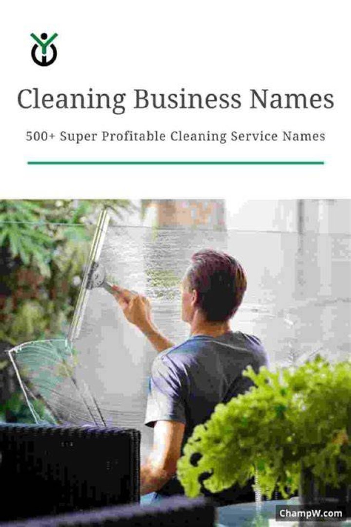 How profitable is a cleaning service?