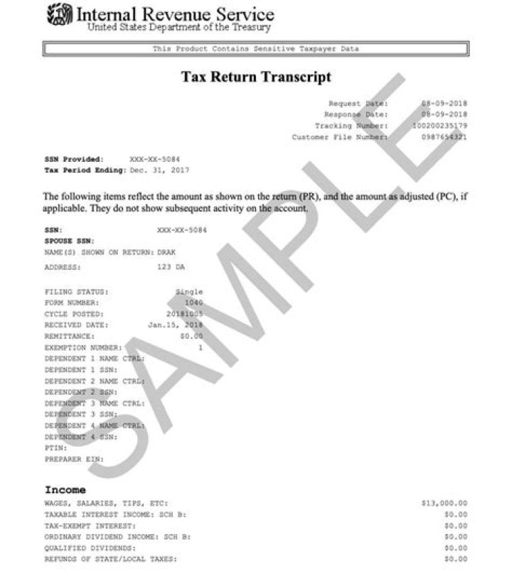 What does a tax return transcript look like?