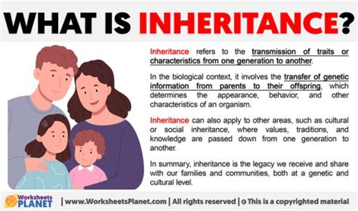 What does it mean by inheritance?